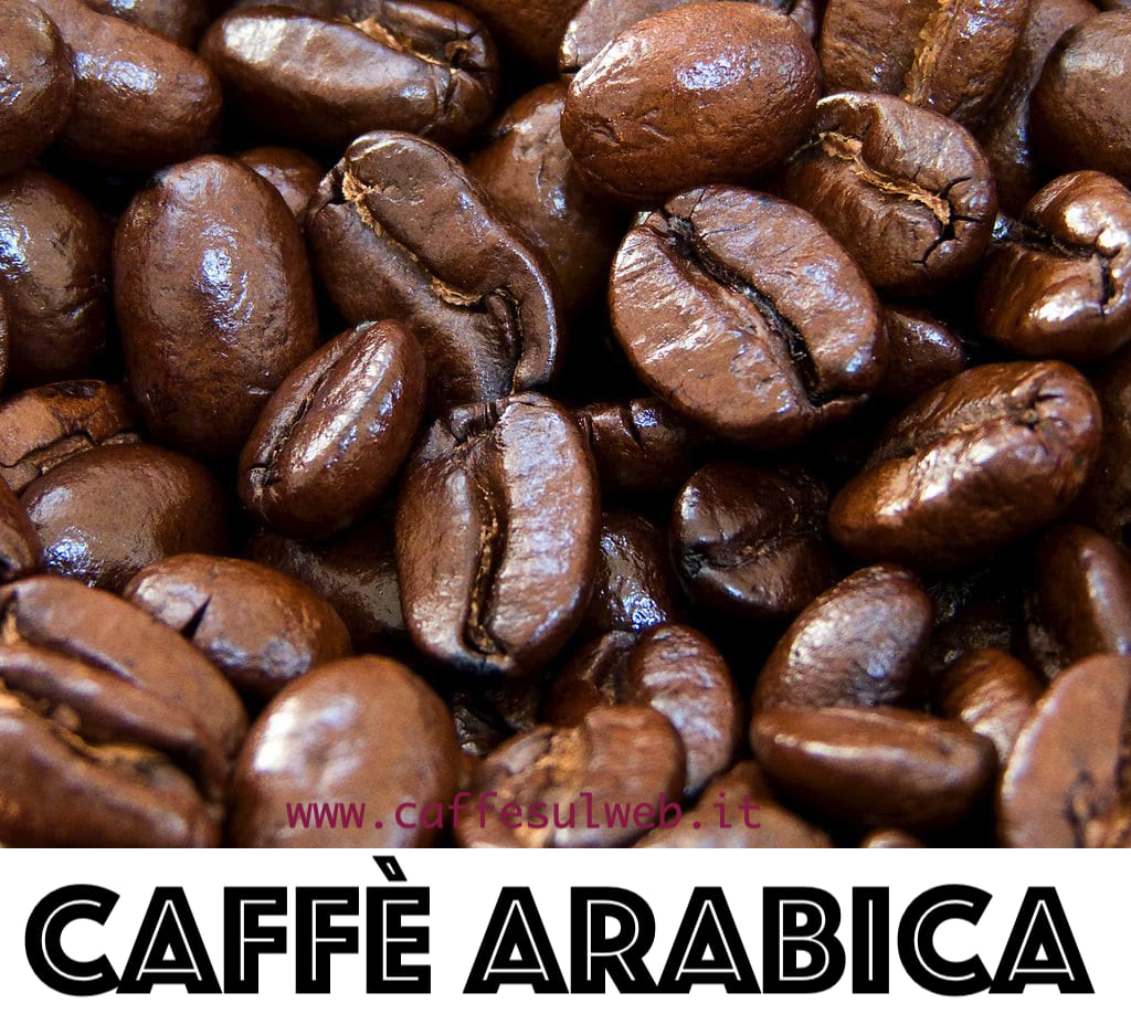 Coffea Arabica
