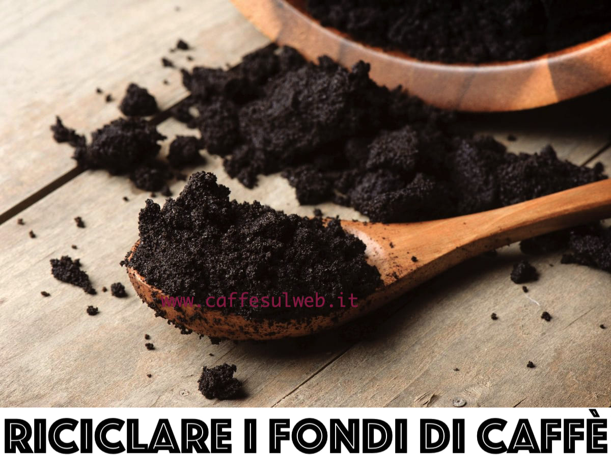 Come Riciclare Fondi Caffe
